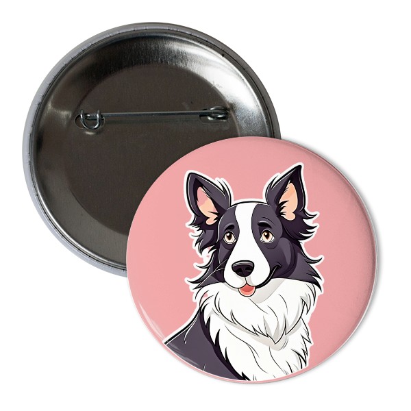 Oblíbené psí plemeno - border kolie 