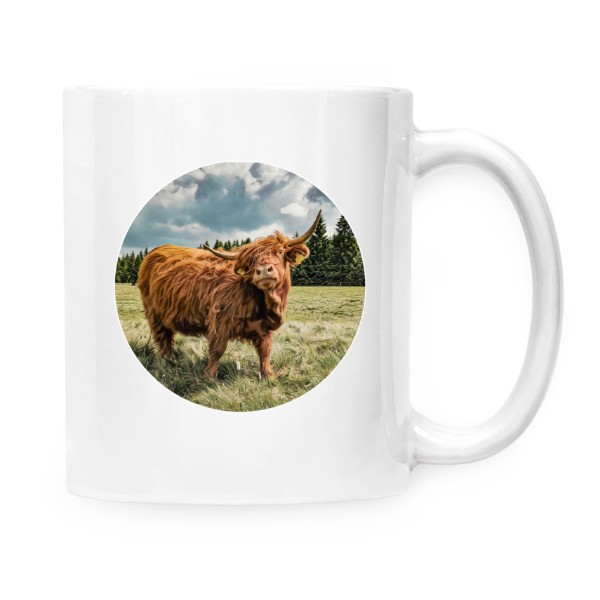 Skotský náhorní skot 