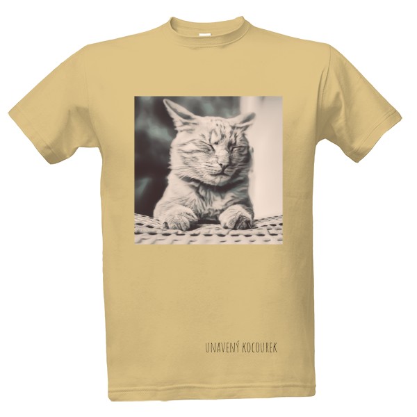 Unavený kocourek 